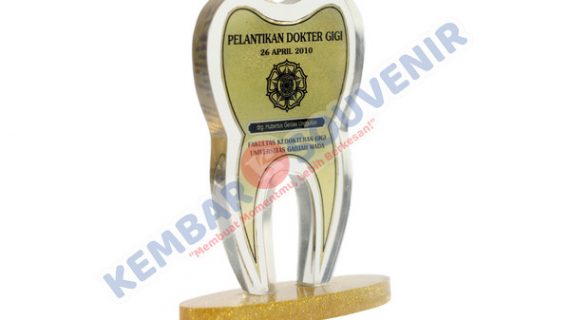 Souvenir Miniatur DPRD Kabupaten Sigi