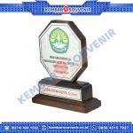 Piala Plakat DPRD Kabupaten Minahasa Selatan