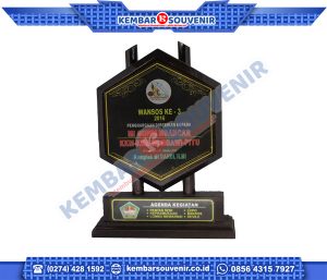 Trophy Acrylic STMIK Mikroskil