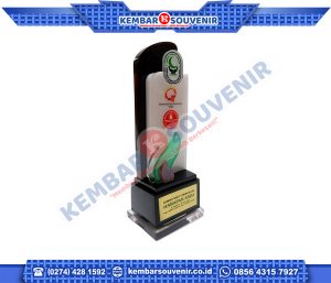 Piala Custom Kabupaten Pulang Pisau